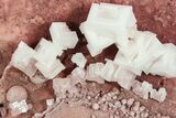 Pink Halite Crystal Plate - Trona, California #72280-1
